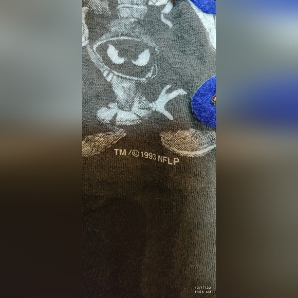 SUPER RARE OLD VINTAGE 1993 RAIDERS TAZ STITCHED EMBROIDERED NFL WARNER BROTHERS - Picture 5 of 7